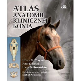 Atlas anatomii klinicznej...