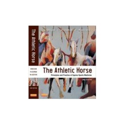 The Athletic Horse