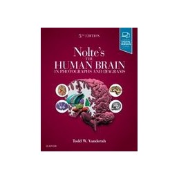Nolte's The Human Brain in...