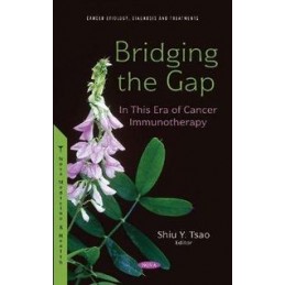 Bridging the Gap: In This...