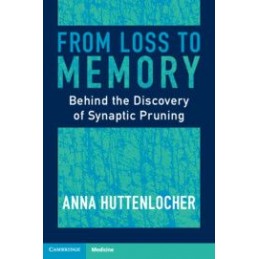 From Loss to Memory: Behind...