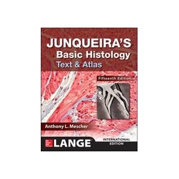 Junqueira's Basic Histology: Text and Atlas, Fifteenth Edition (Int'l Ed)