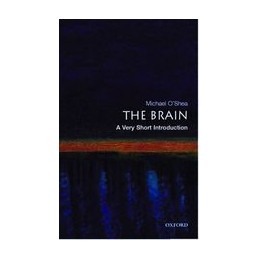 The Brain: A Very Short...