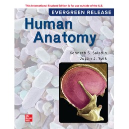Human Anatomy (IE)