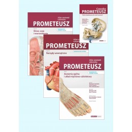 PROMETEUSZ Atlas anatomii człowieka. Tom  1-3. (łacińska i polska nomenklatura) + CZASZKA (pakiet dydaktyczny)