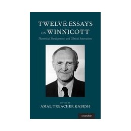 Twelve Essays on Winnicott