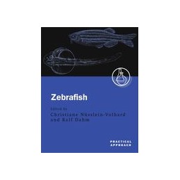 Zebrafish