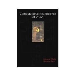 Computational Neuroscience...