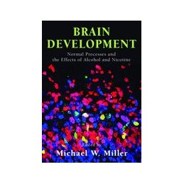 Brain Development