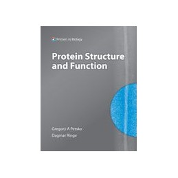 Protein Structure and Function