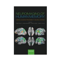 Neuroimaging of Human Memory