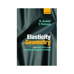 Elasticity and Geometry