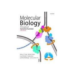 Molecular Biology