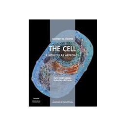 The Cell