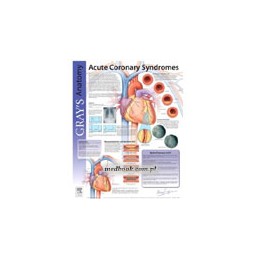 Acute Coronary Syndrome