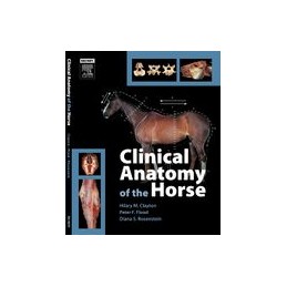 Clinical Anatomy of the Horse