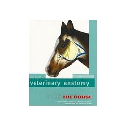 Color Atlas Veterinary Anatomy