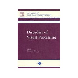 Disorders of Visual Processing