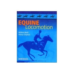 Equine Locomotion