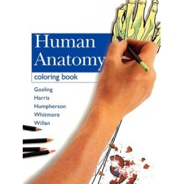 Human Anatomy Coloring Book