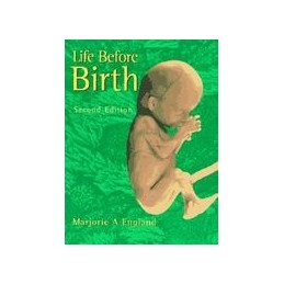 Life Before Birth