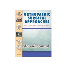 Orthopaedic Surgical...