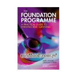 The Foundation Programme