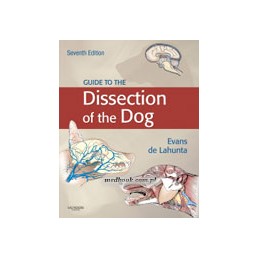 Guide to the Dissection of...