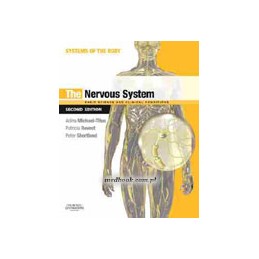 The Nervous System