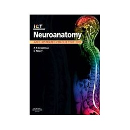 Neuroanatomy