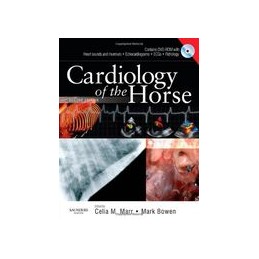 Cardiology of the Horse