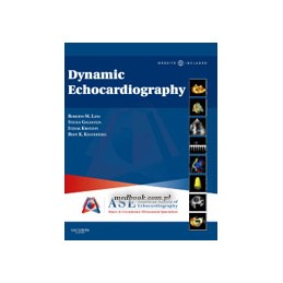 Dynamic Echocardiography