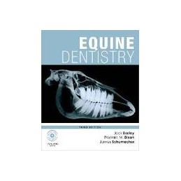 Equine Dentistry