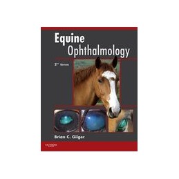 Equine Ophthalmology