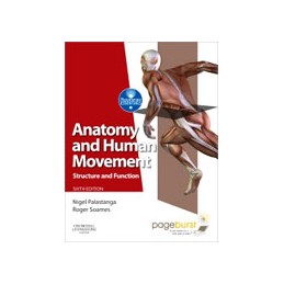 Anatomy and Human Movement