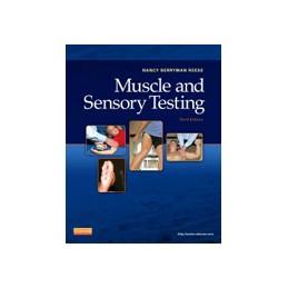 Muscle and Sensory Testing