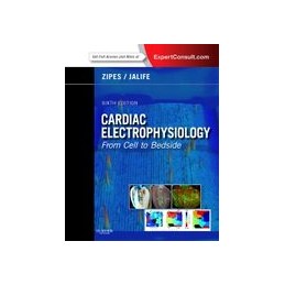 Cardiac Electrophysiology:...