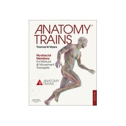 Anatomy Trains