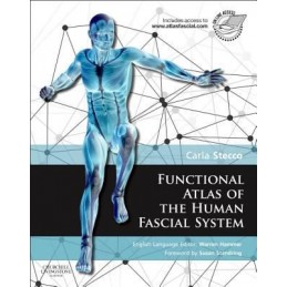 Functional Atlas of the...