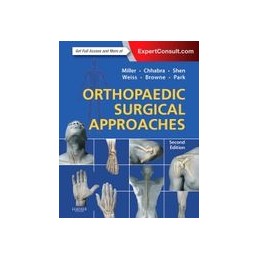 Orthopaedic Surgical...