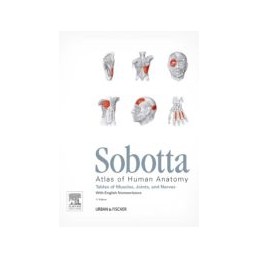 Sobotta Tables of Muscles,...