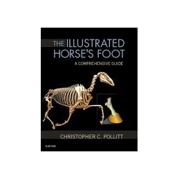 The Illustrated Horse's Foot