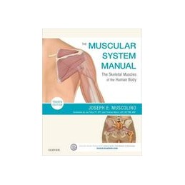 The Muscular System Manual