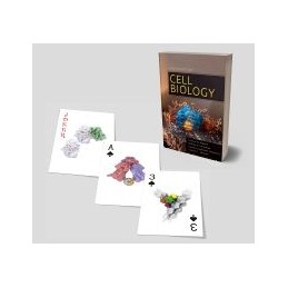 Cell Biology Playing Cards