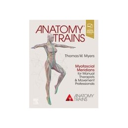 Anatomy Trains