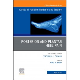 Posterior and plantar heel...