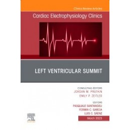 Left Ventricular Summit, An...