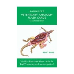 Veterinary Anatomy Flash Cards