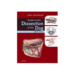 Guide to the Dissection of...