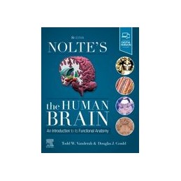 Nolte's The Human Brain